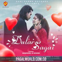 Sagai Re Dular Poster
