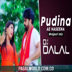 Pudina Ae Hasina Remix - DJ Dalal London Poster