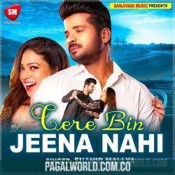 Tere Bin Jeena Nahi Hindi Poster
