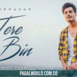 Tere Bin Cover Song