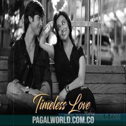 Timeless Love - LoFi Mashup Poster