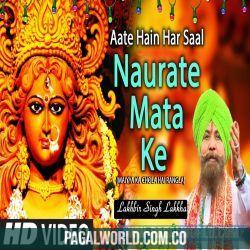 Aaye Navrate Mata Poster