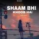 Shaam Bhi Khoob Hai (Slowed Reverb) Lofi Poster
