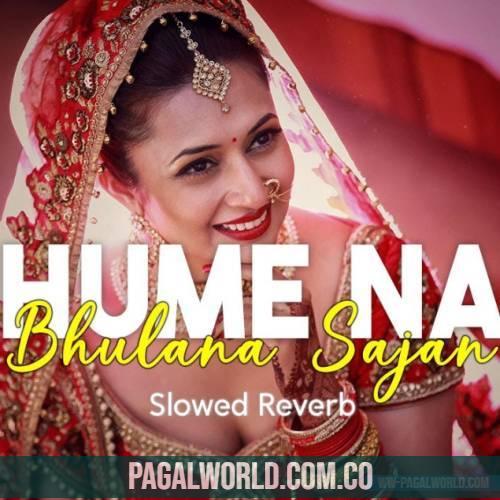 Hame Na Bhulana Sajan Slowed And Reverb