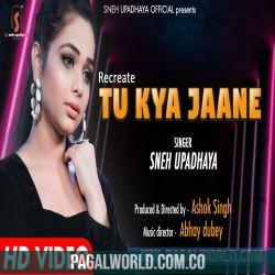 Tu Kya Jaane (Recreated) Poster